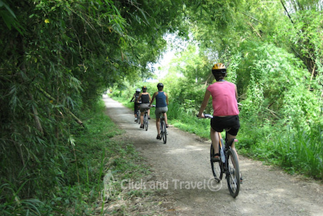 Half day bicycle tour south of Chiang Mai Thailand image