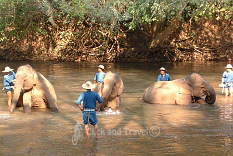 3-daagse fietstoer, zonder gids, ten noorden van Chiang Mai Thailand: foto