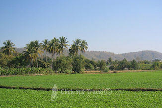 10-daagse fietstoer, zonder gids, rondom Chiang Mai Thailand: foto