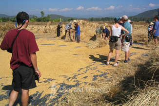 10-daagse fietstoer, zonder gids, rondom Chiang Mai Thailand: foto